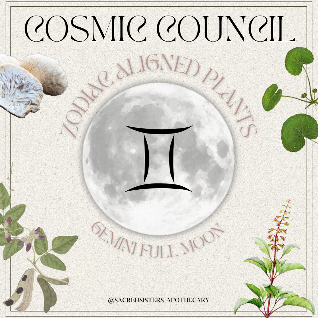 COSMIC COUNCIL: Gemini Full Moon Herbal Allies