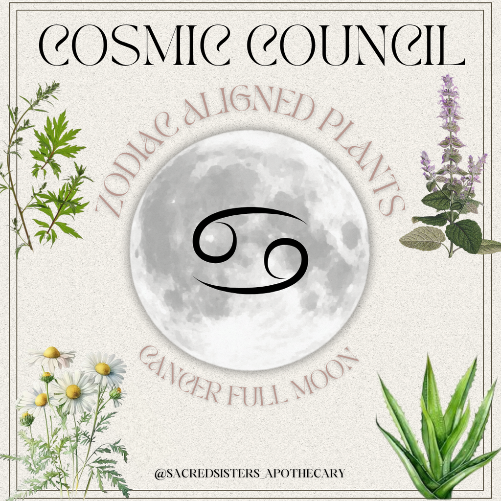 COSMIC COUNCIL: Cancer Full Moon Herbal Allies