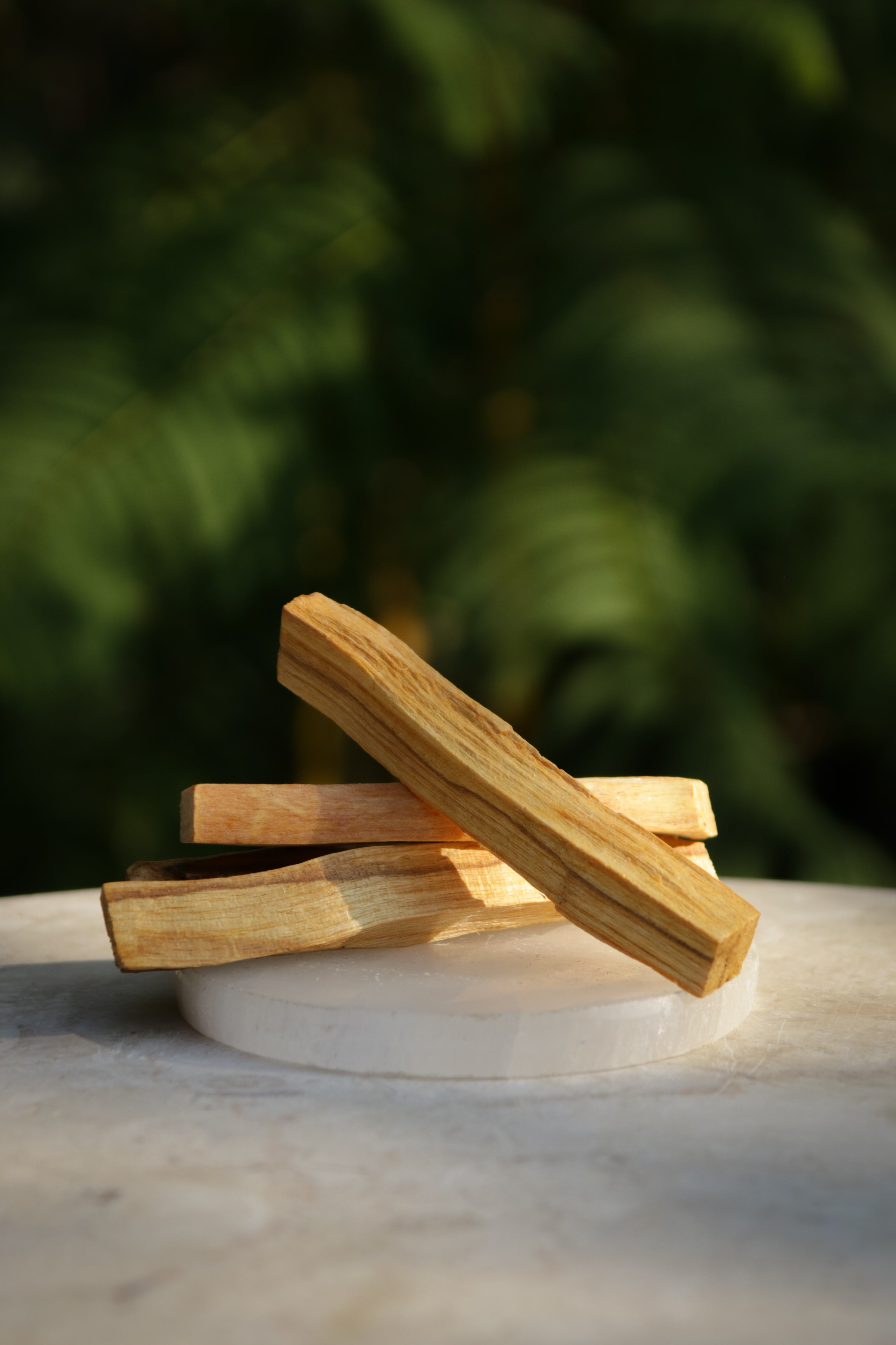 Palo Santo - Energy Cleanse